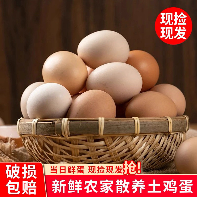 新鲜现捡正宗湖南散养农家土鸡蛋顺丰包邮