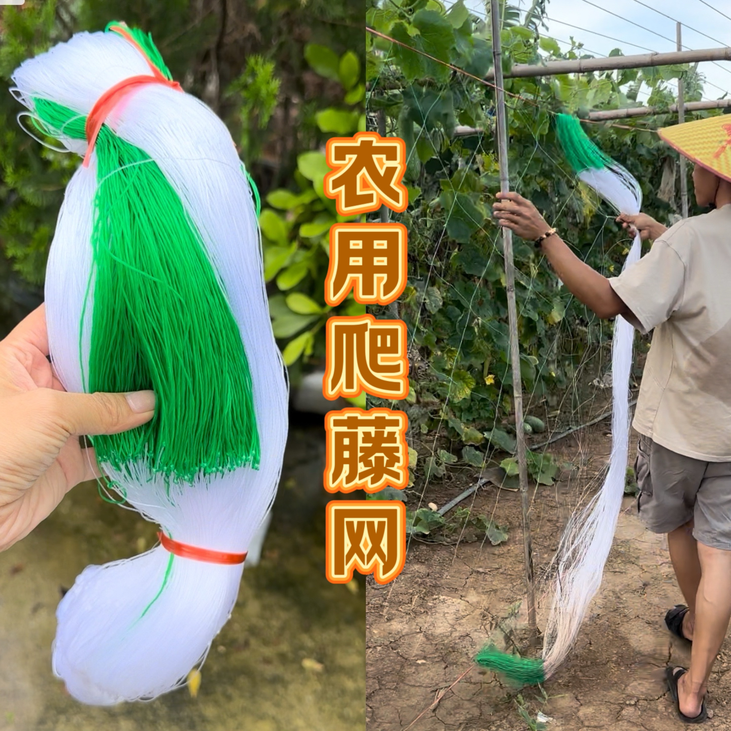 农用种植爬藤网百香果青瓜丝瓜豆角爬藤植物适用品质好优惠精选
