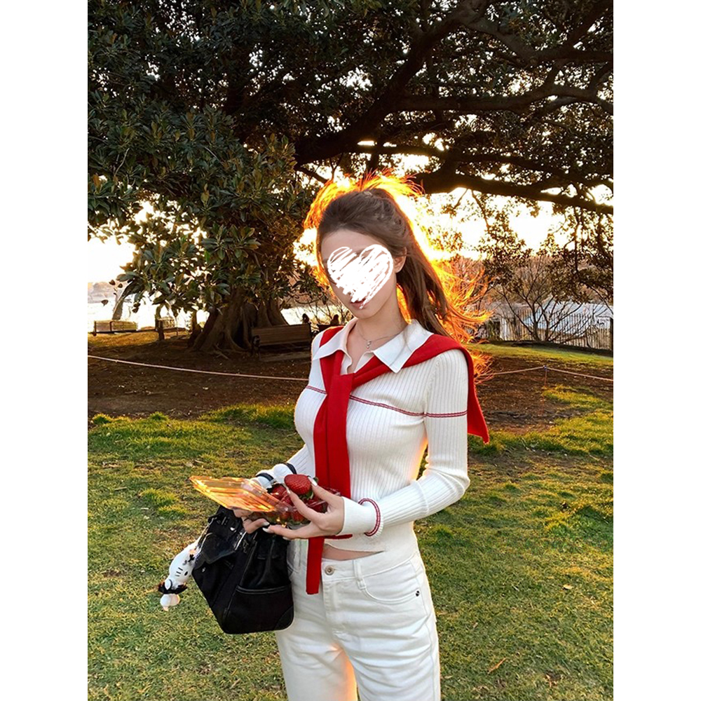 polo领长袖针织衫女修身显瘦短款韩系上衣+披肩两件套装 81269