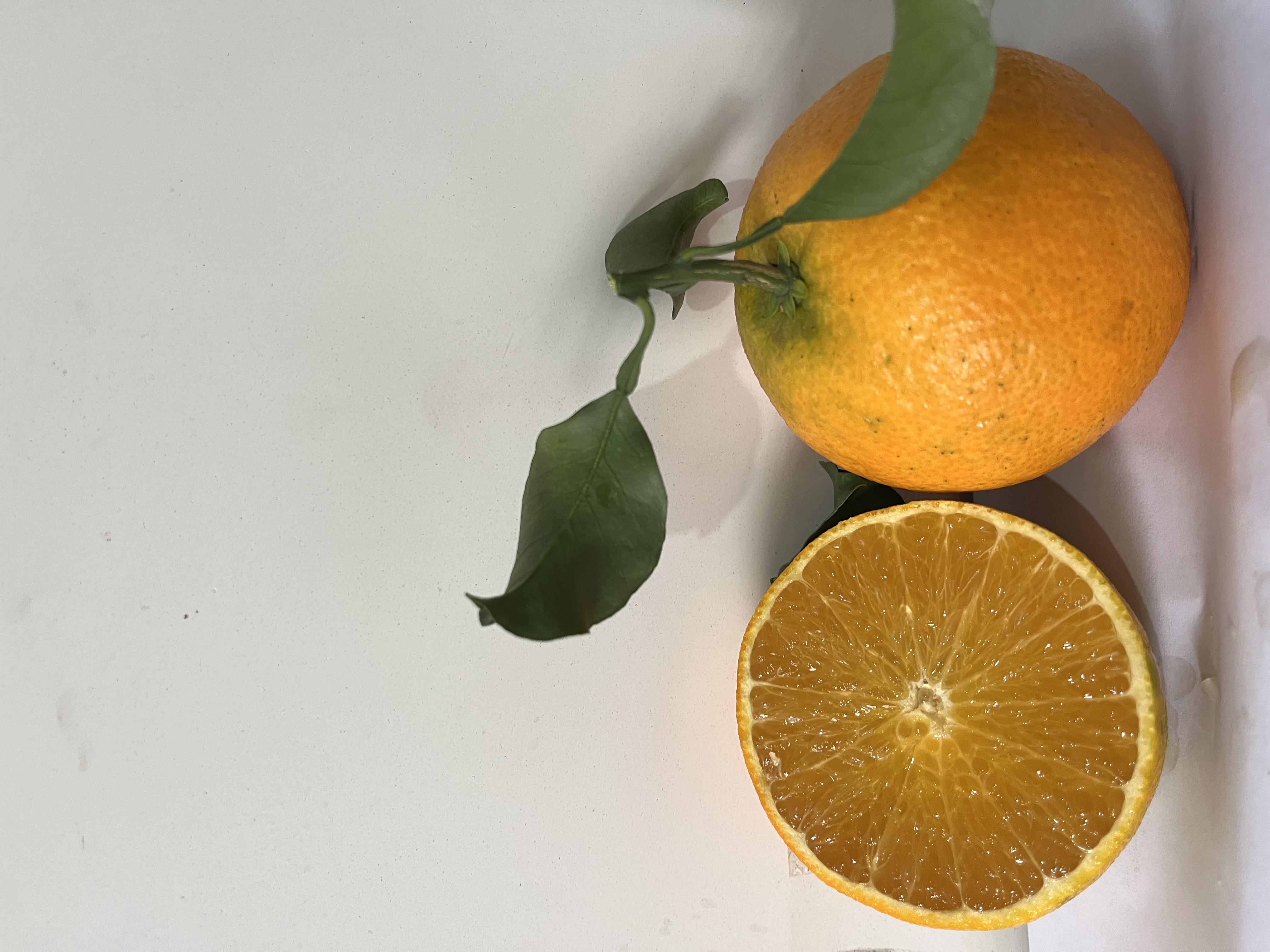 【顺丰快递】正宗眉山爱媛38号果冻橙现摘现发