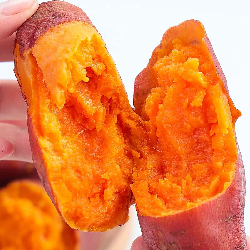 客家农夫新鲜现挖农家红薯，软糯香甜