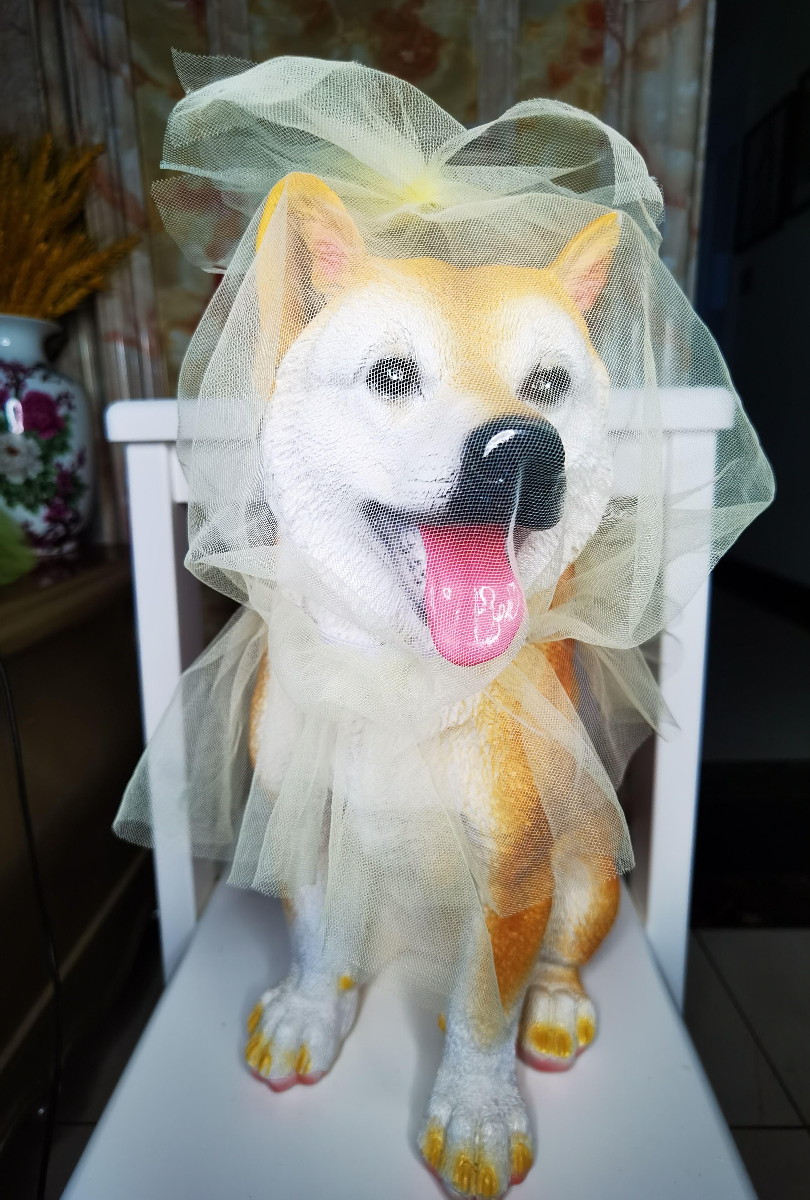 宠物狗狗多功能防偷吃面纱时尚可爱装扮保护你的爱宠情绪价值拉满