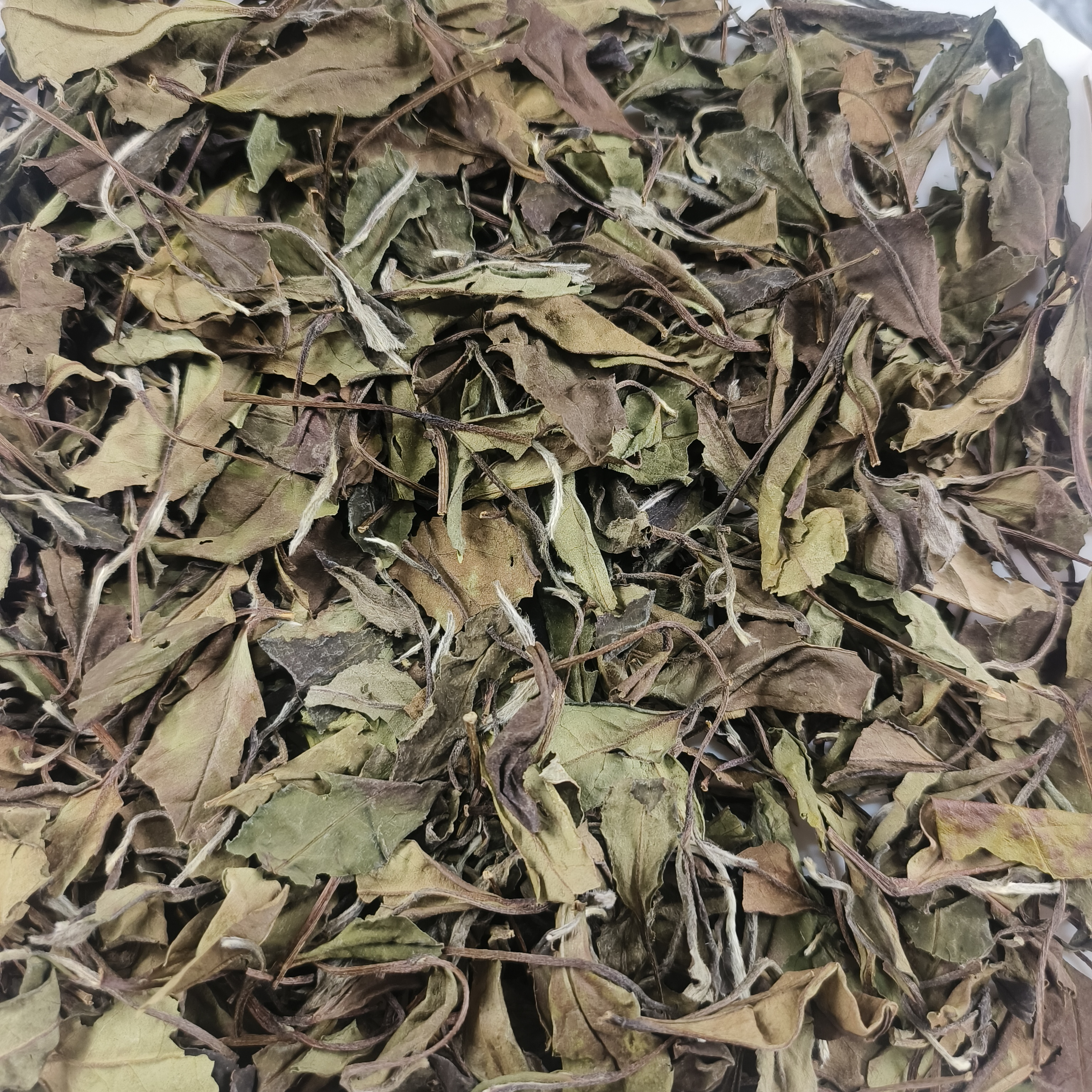 福鼎白茶 21年秋时白露 管阳高山茶