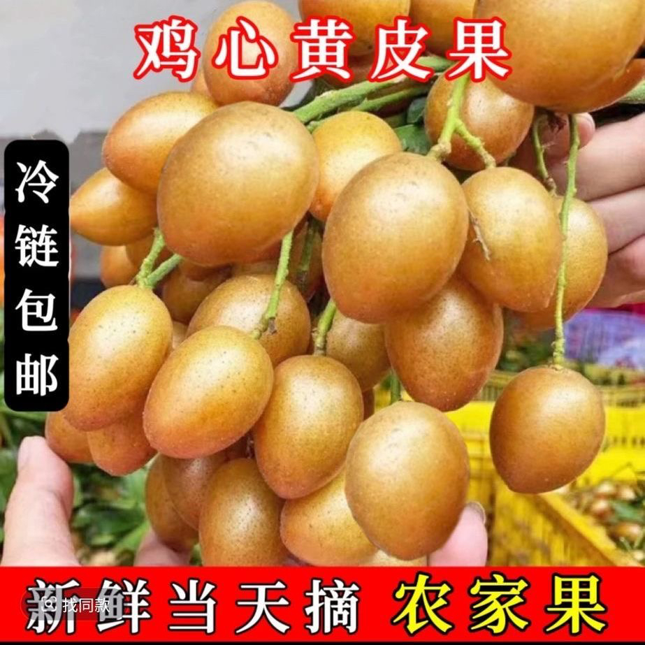 【新鲜现摘】正宗广东鸡心黄皮果新鲜现摘当季酸甜多汁水果1/6斤