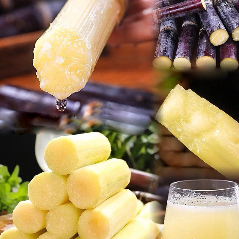 广西黑皮甘蔗新鲜现砍脆甜多汁应季水果产地直发清甜脆皮