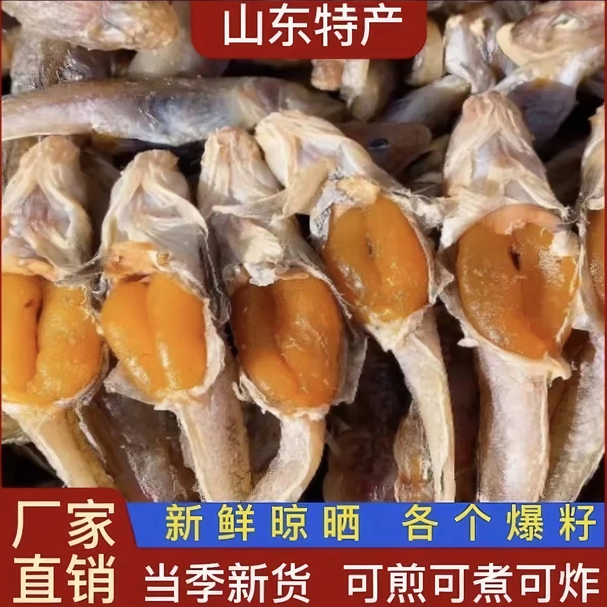咸鱼6成干带籽狗光鱼寿光羊口籽多狗杠鱼油狗光爆籽爆香码头直发