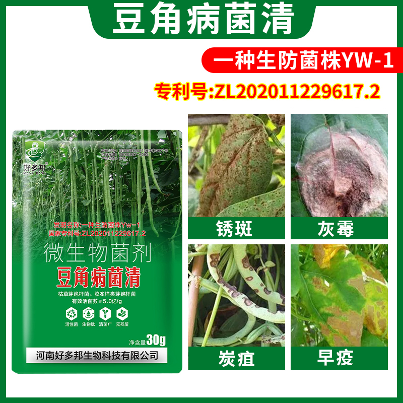 豆角病菌清专利配方豆角锈斑炭疽青枯白粉灰霉正品直销微生物菌剂