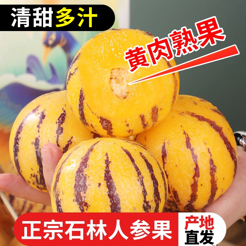 云南石林人参果新鲜应当季水果树上熟七彩黄肉生圆果人果整箱包邮