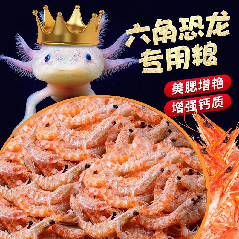 六角恐龙鱼饲料高蛋白补钙南极磷虾冻干龙鱼东方蝾螈专用虾干鱼食