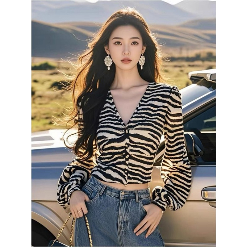 韩系港风休闲斑马纹衬衫女秋季2025新款独特设计感洋气小衫上衣潮