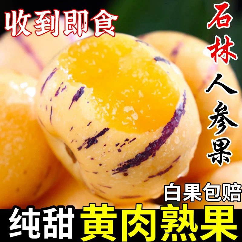 云南石林人参果圆果黄肉树上自然熟现摘现发清甜爆汁