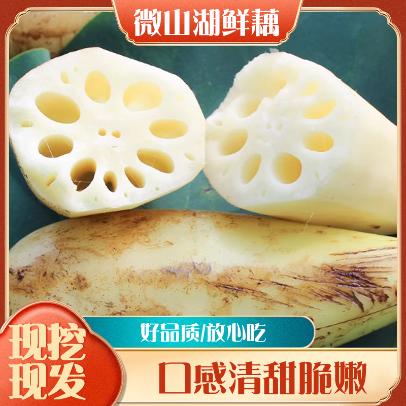 【中果】微山湖莲藕连藕莲菜新鲜原生态源头发货【8-10节】藕新鲜现挖