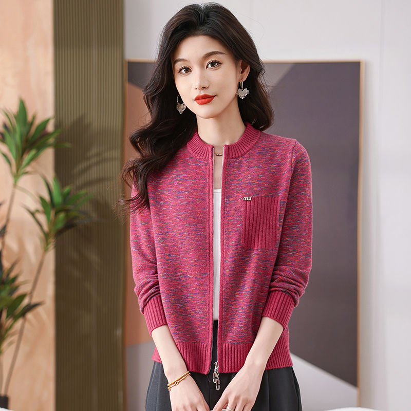 时尚洋气减龄韩系高级感拉链针织开衫外套女2025春秋新款女装毛衣