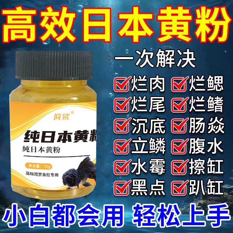 纯日本黄粉观赏鱼鱼池鱼缸水族箱适用烂身烂尾热带金鱼黑点可用粉