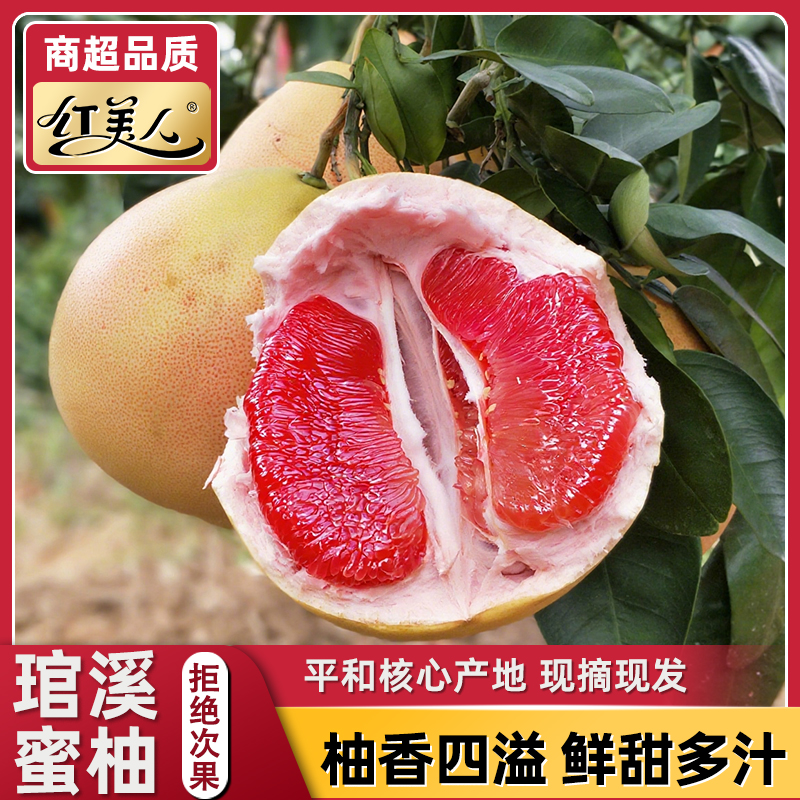 【琯溪蜜柚】平和红心蜜柚新鲜采摘柚子香甜爽口多汁当季通