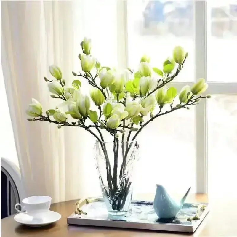 【遇水开花】水培玉兰花卉室内水培客厅办公室内鲜切枝条桃花绿植