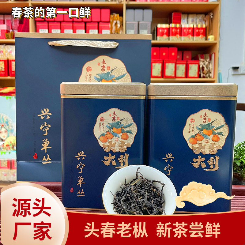 【兴宁高山老枞】2025头春老枞兴宁单丛茶回甘生津唇齿留香高级茶叶