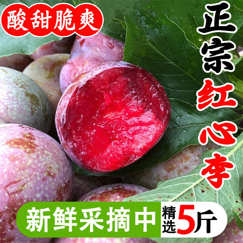 福建芙蓉李红心三华李新鲜现摘当季水果酸甜可口孕妇适用