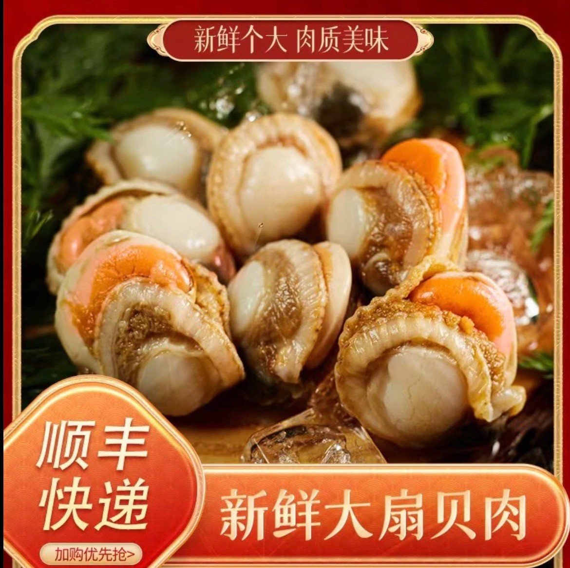 【小濛推荐】4060大号港湾扇贝肉，无泥无沙新鲜扇贝肉，新鲜扇贝边