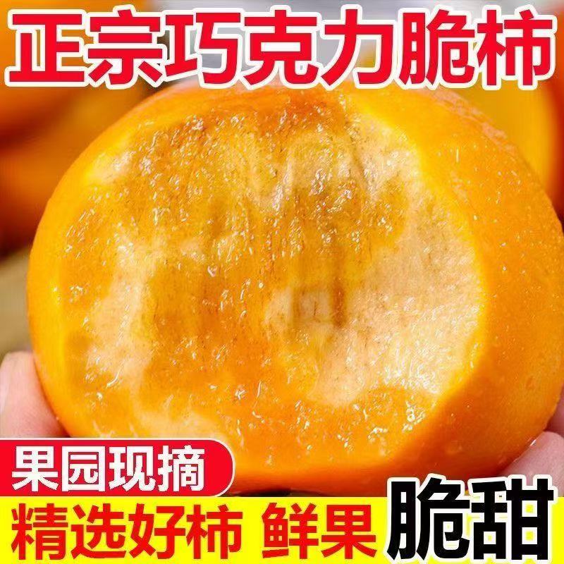 【多仓发货】陕西阳丰巧克力脆柿现摘现发整箱当季新鲜水果G