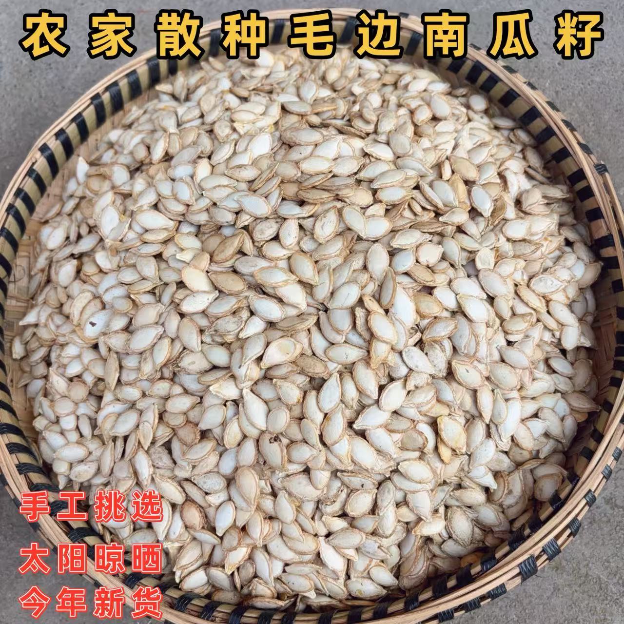 贵州老南瓜籽农家自种老品种自然晒干原味带壳毛边生南瓜籽