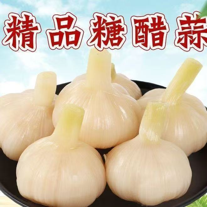 优选固始糖蒜酸甜水晶蒜头新鲜糖醋大蒜泡菜腌制酱菜
