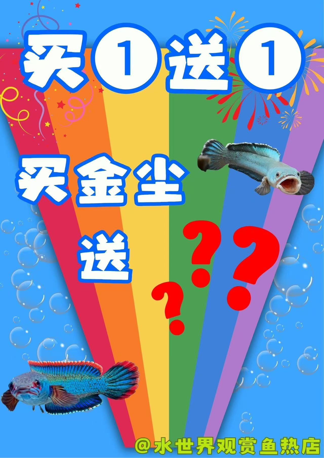 鱼金尘雷龙血斑淡水活体观赏鱼耐活好养免打氧小型冷水金尘雷龙鱼