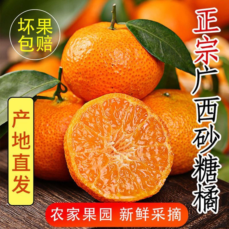 正宗金秋沙糖桔蜜砂糖橘子当季新鲜柑橘水果桔子桔薄皮蜜橘整箱