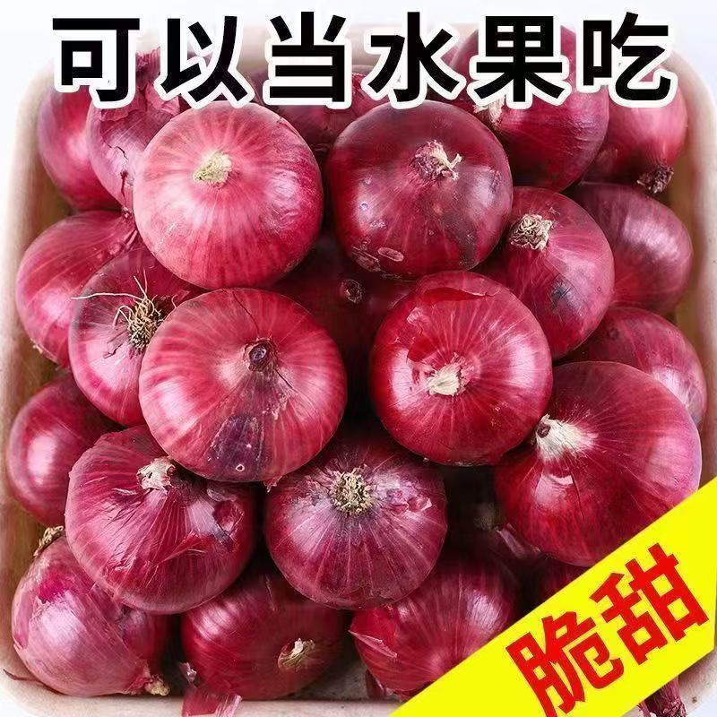 新疆紫玉生吃产品凉拌水果炒菜大蒜精品农家菜独头水果洋葱新鲜