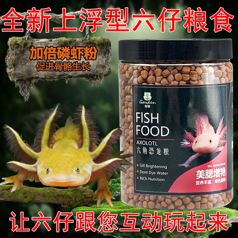 六角恐龙鱼饲料鱼饲料蝾螈高蛋白娃娃鱼东方颗粒上浮鱼食专用鱼粮