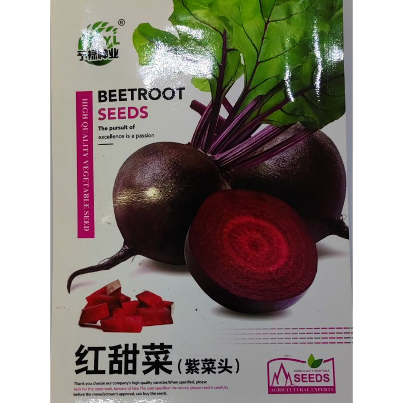 红甜菜紫菜种子红菜菜根种籽春秋农家营养丰富榨汁生食蔬菜孑