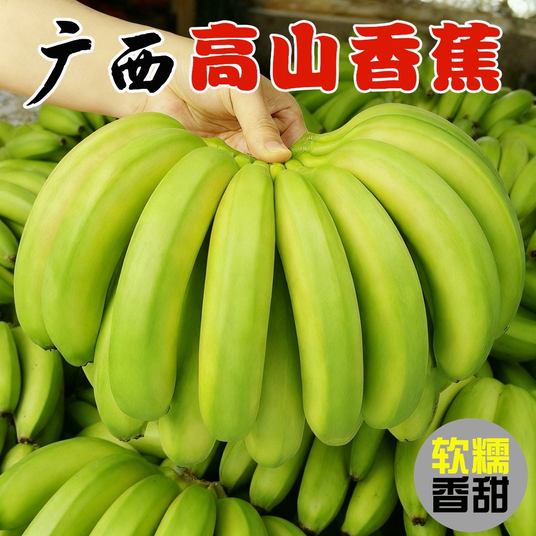 广西高山香蕉现摘现发青皮威廉斯自然熟香甜软糯当季热带新鲜水果