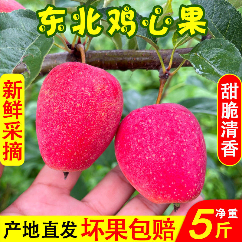 专属【中大果】东北特产鸡心果嘎嘎甜脆爆汁新鲜采摘当季水果