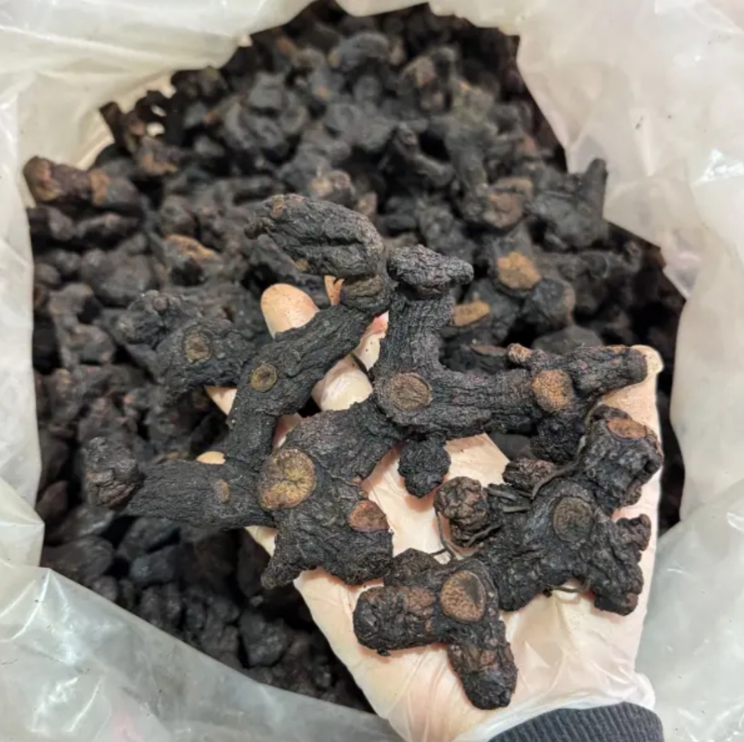 黄精10年原汁原味正宗野生九蒸九晒古法制作滋补品