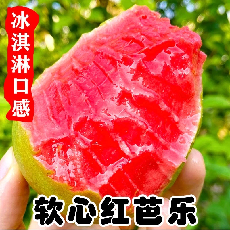 正宗芭乐番石榴香脆可口奶油软糯香甜水果产地直发当季新鲜水果