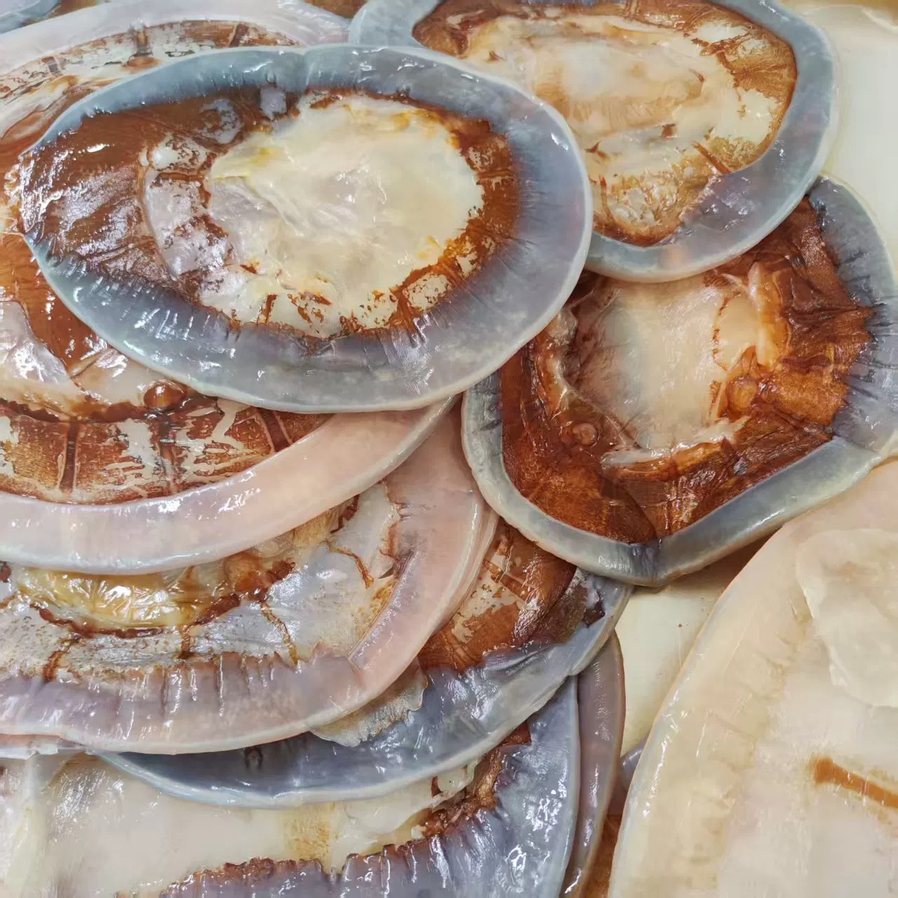 【哈特火】海蜇红皮子3.5斤