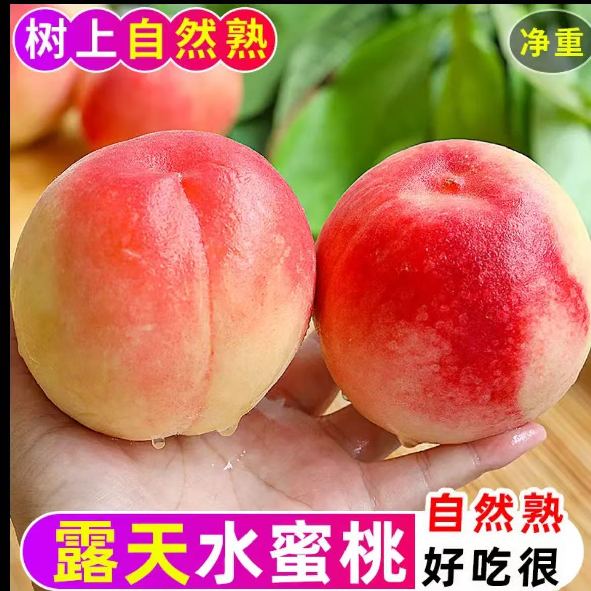 L12新鲜现摘现发红不软水蜜桃软脆两吃脆甜多汁应季水果孕妇包邮
