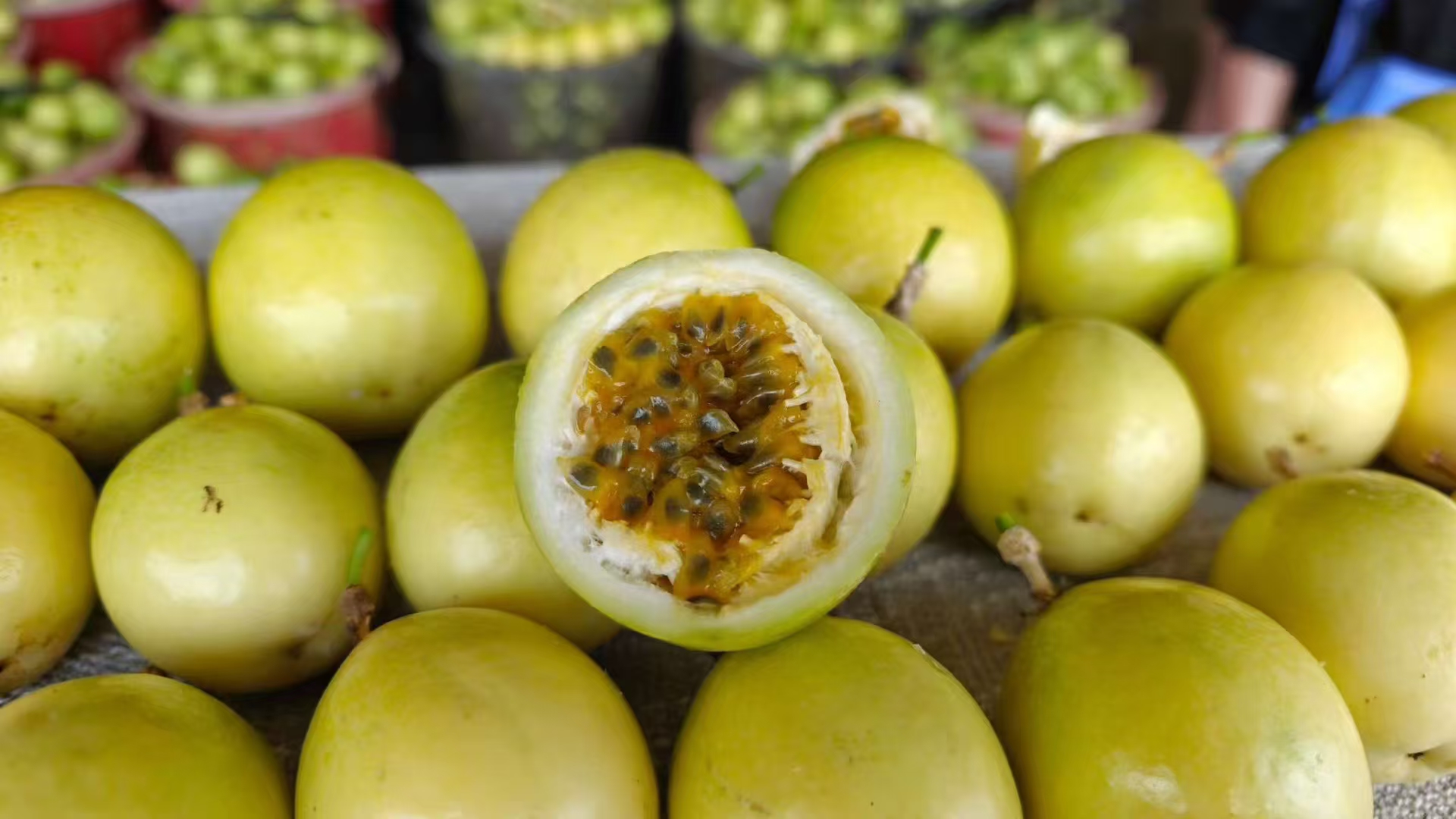 当季新鲜采摘夺冠钦蜜9号百香果香甜多汁富含维生素C位置