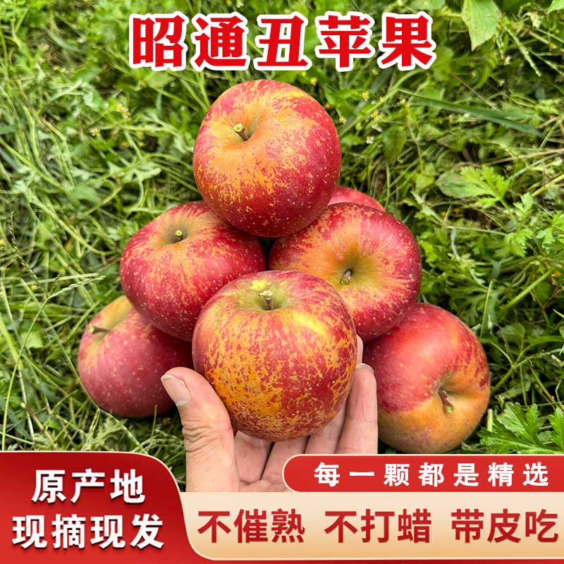 正宗云南昭通农家高山种植新鲜水果冰糖心丑苹果甜脆多汁整箱包邮