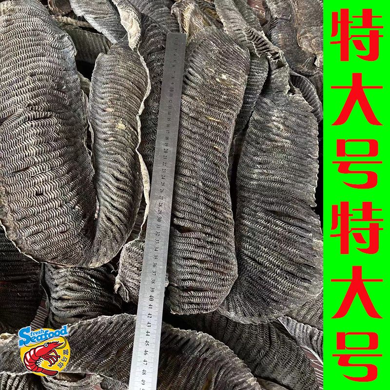 膨鱼鳃虾膨鳃花鳃彭澎黑鱼鳃特大号角鱼鳃双都吻鱼口4片左右一斤