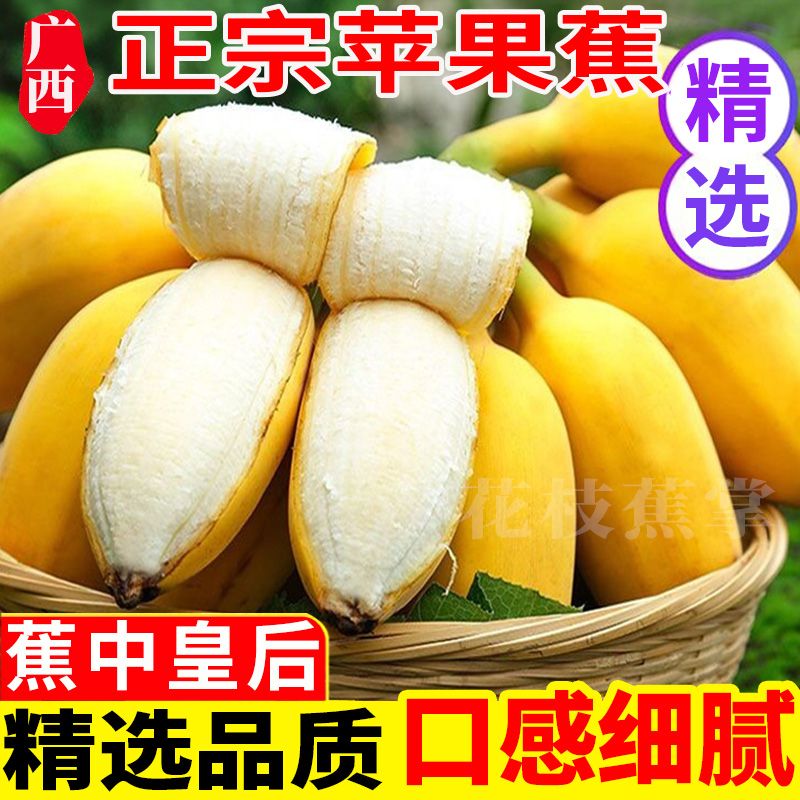 【粉丝福利】广西苹果蕉现摘现发9斤5斤应季时令新鲜甜水果粉蕉1斤