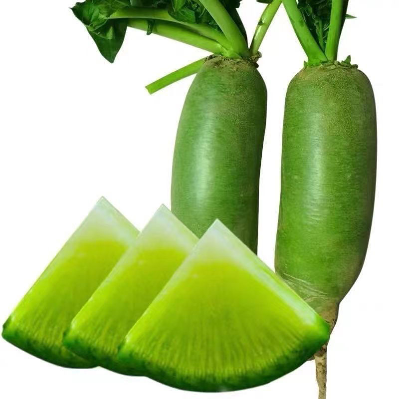 翔丞山东潍县青萝卜新鲜正宗沙窝萝卜潍坊水果萝卜开胃解腻下饭