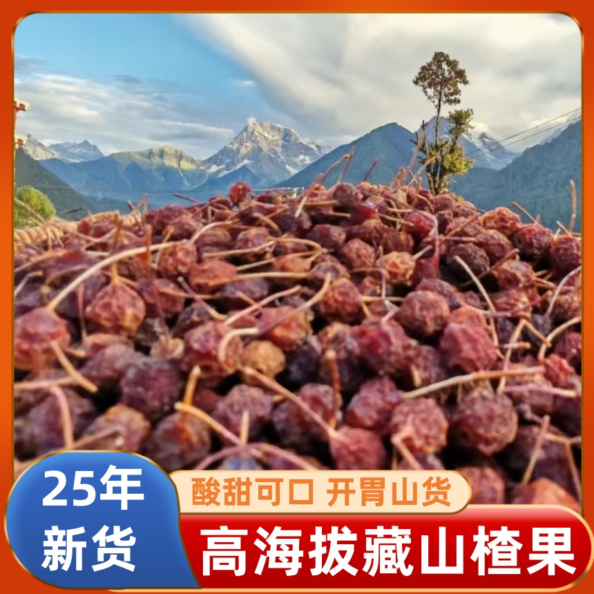【藏山楂】西藏高海拔手工采摘山楂 小山楂果原料 冲洗即食泡水泡茶