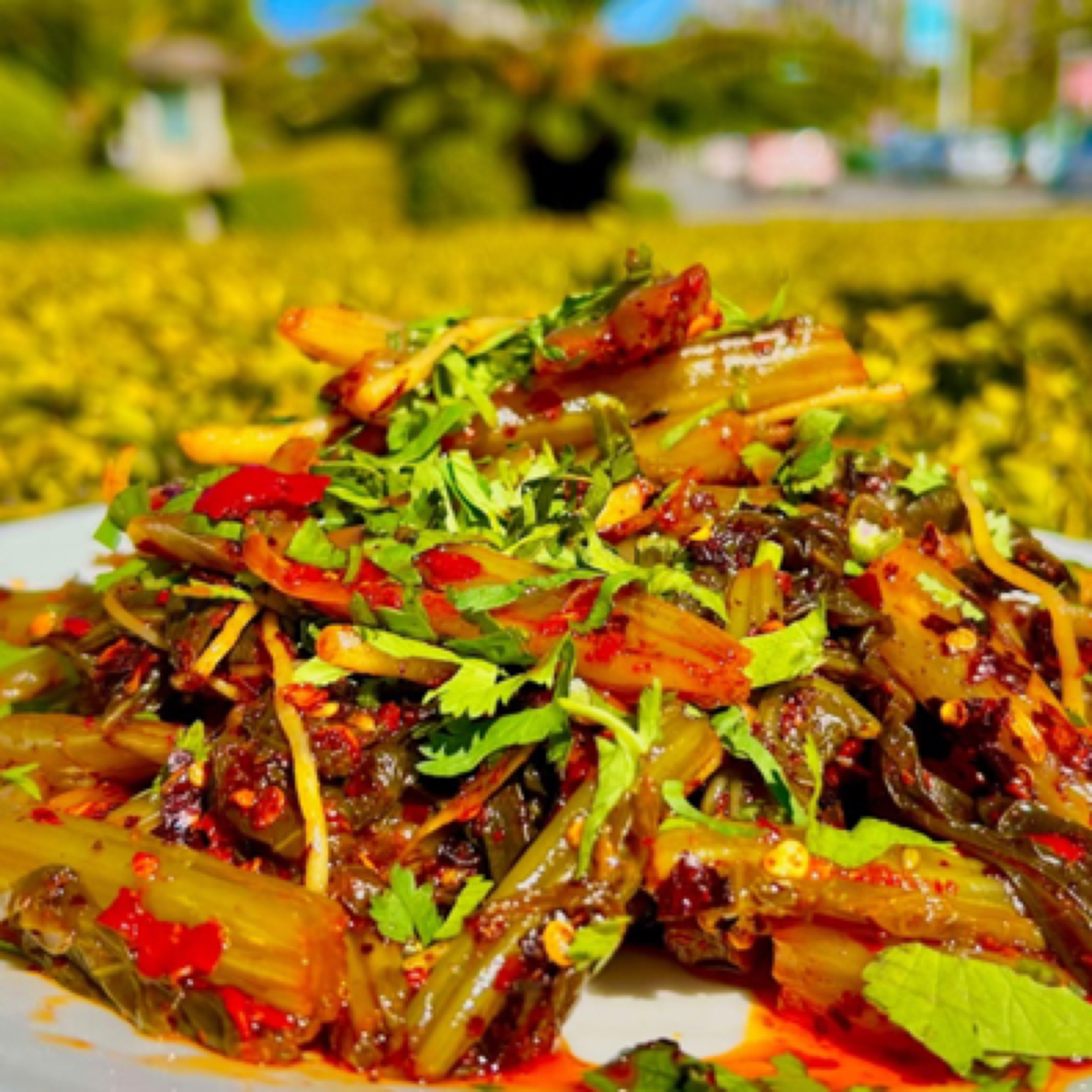 云南保山手工酸腌菜农家传统开胃下饭菜油辣子腌菜