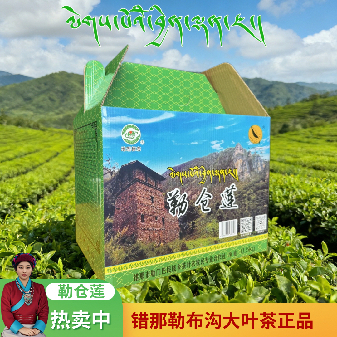 西藏错那勒布沟大叶茶 品质优良口感醇厚