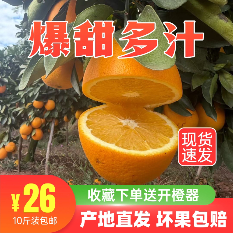 （花皮果）正宗赣南脐橙新鲜水果果园直发应季甜橙子产地现摘水果