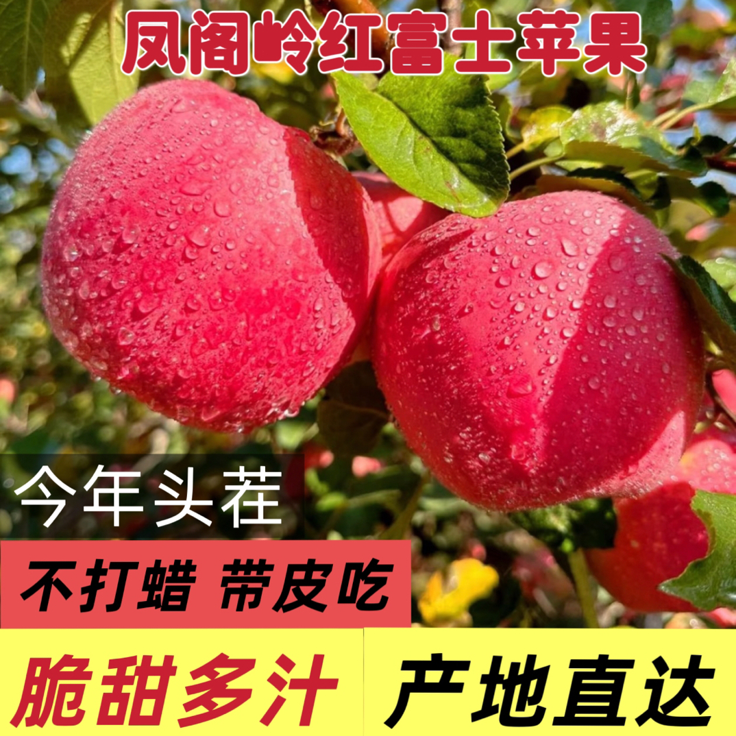 凤阁领红富士苹果自家果园现摘香脆清甜新鲜采摘18颗装