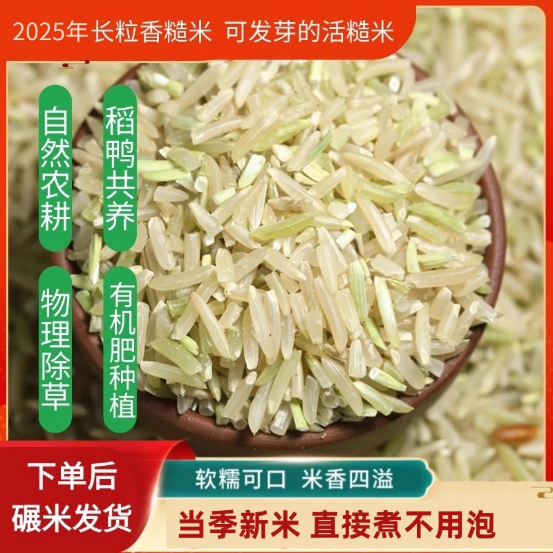 长粒香糙米25年新农家新鲜现磨辅食杂粗粮可发胚芽健身代餐饱腹