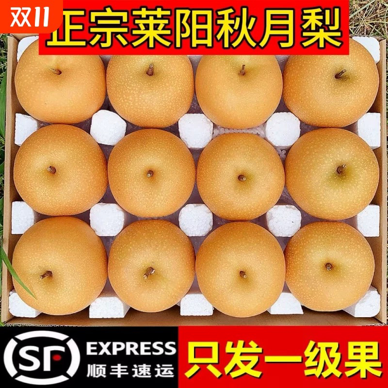 [顺丰快递]方迈果业正宗头茬莱阳秋月梨冰糖子当季水果脆甜多汁