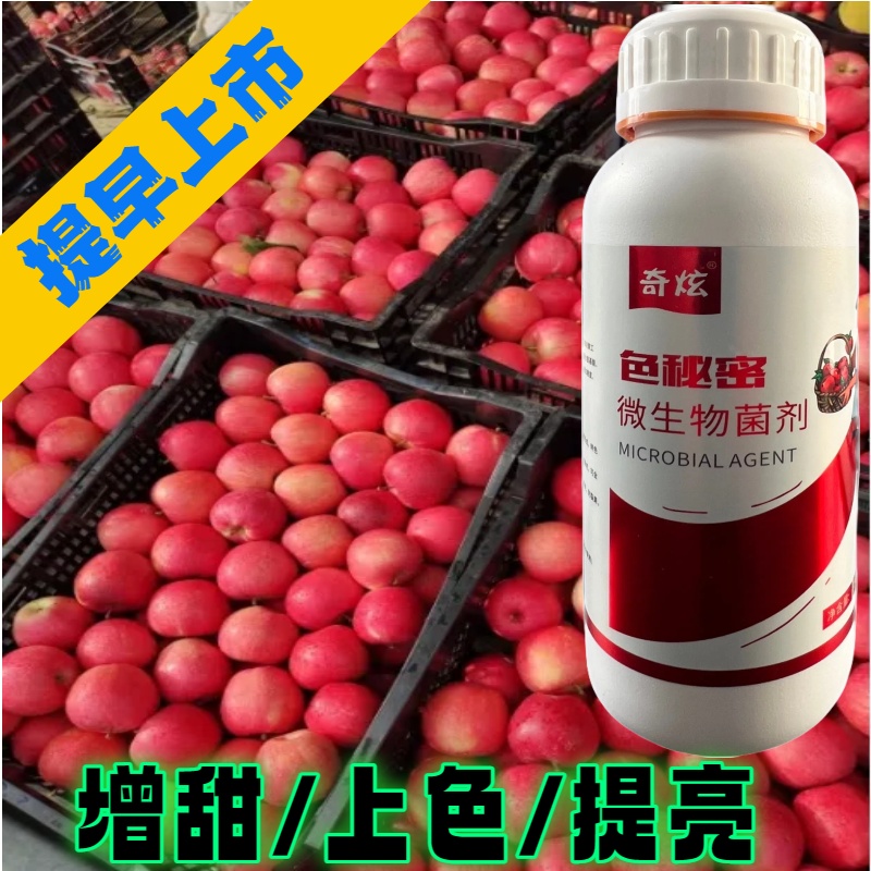 色秘密 苹果精准上色 促进花青苷合成 高温下仍然可以上色